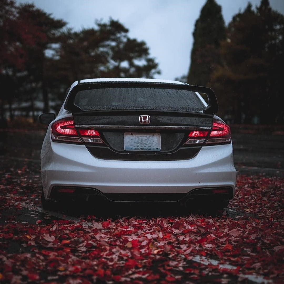 OEM STYLE CARBON TRUNK KOUKI FB