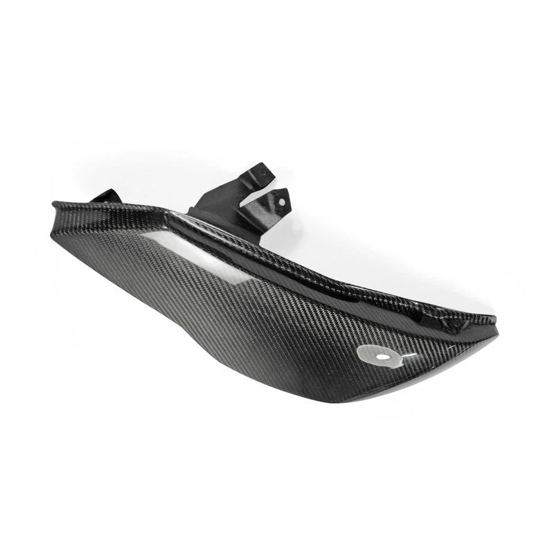 CARBON HEADLIGHT DELETE PANEL (LHS) FD